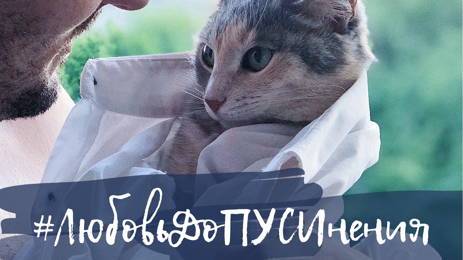 ЛюбовьДоПУСИнения | Мурка | Любовь До ПУСИнения | Кото Пёс Фест