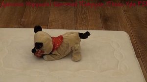 Развивающие игрушки: «Собачка акробат». Интерактивная собака. Игрушки для детей.