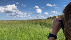 Цветные светофильтры в черно-белой фотографии. 94 выпуск.