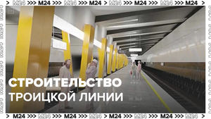 Троицкая линия станет одной из самых протяженных — Москва24 | Контент