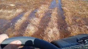 Вездеход Литл по северному болоту