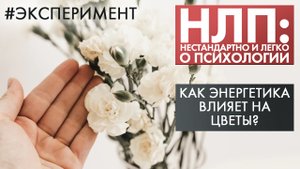 Как энергетика влияет на цветы? | Эксперимент | НЛП