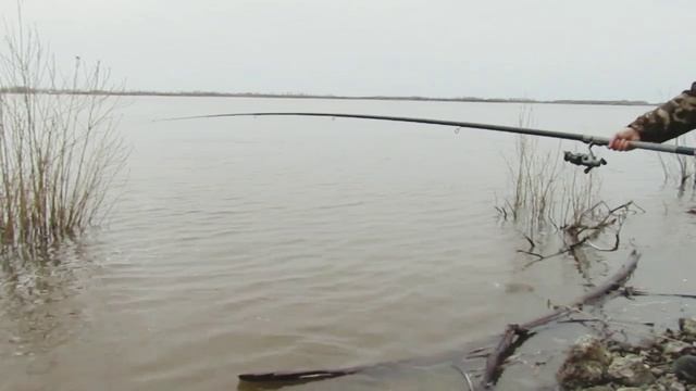 Рыбалка на реке Обь