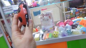 Жук стенолаз. Антигравитационная игрушка на пульте управления