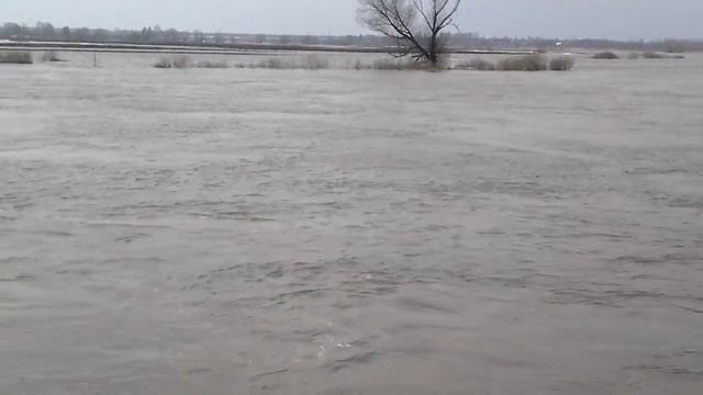 Потоп в Тургиново 1 смотреть онлайн