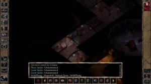 BG 2 SCS + LoB + Ascension Solo Wild Mage full run - part 1 Starting Irenicus Dungeon.