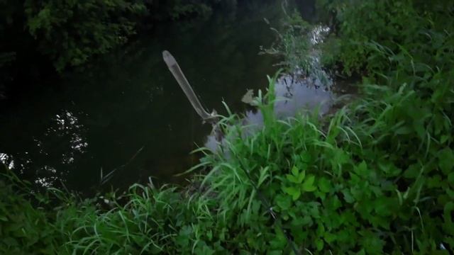 ЩУКА 1,5 КГ РЕКА ШУШМА смотреть онлайн