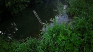 ЩУКА 1,5 КГ РЕКА ШУШМА