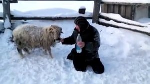 Татарские приколы шутки
