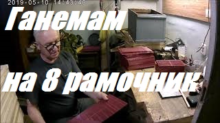 Гениальное изобретение в пчеловодстве.Торопиться не будем.Мёд кориандра-ВКУСНЯШКА. смотреть онлайн