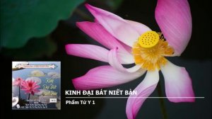 [PHẦN 10/79] KINH ĐẠI NIẾT BÀN: PHẨM DANH TỨ Y 1.