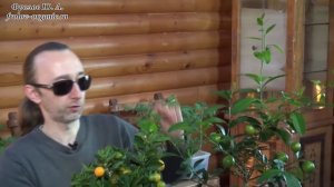 Фролов Ю.А. - Быстрое выращивание растений  Введение в тему выращивания тропических плодовых