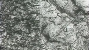 Структура и свойства биметаллов и композиционных материалов