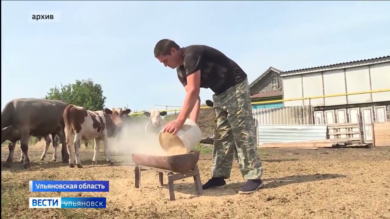 В областном ЗС подвели итоги госпрограммы "Комплексное развитие сельских территорий"