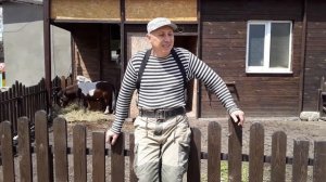 Конь Порода Американская Миниатюрная Лошадка. Родословная Мартина / Легенда породы / Минилошадь
