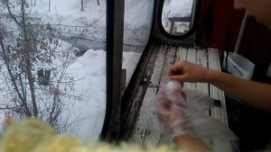 Вскрываю яйцо. Зародыш мёртв