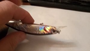 DUO Realis Jerkbait 120 F  реплика (копия)