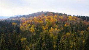 лечебная музыка для сердца и сосудов - Нежная музыка, успокаивает нервную систему и радует душу #8