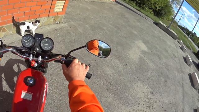 Про АЛЬФЫ и их Ублюдков смотреть онлайн