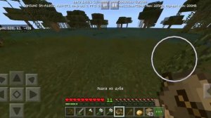 Minecraft притащили домой много животных