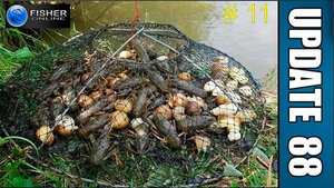 Обзор обновления 1.88 и активация достижений: Картмастер, Насекомые и Раколов.  # 11.  Fisher Online