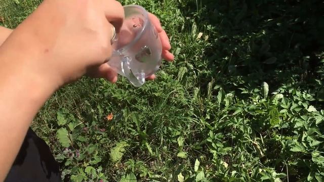 Клубника на балконе, Софочка с подружкой/ Игры Софы с Масей)))) смотреть онлайн