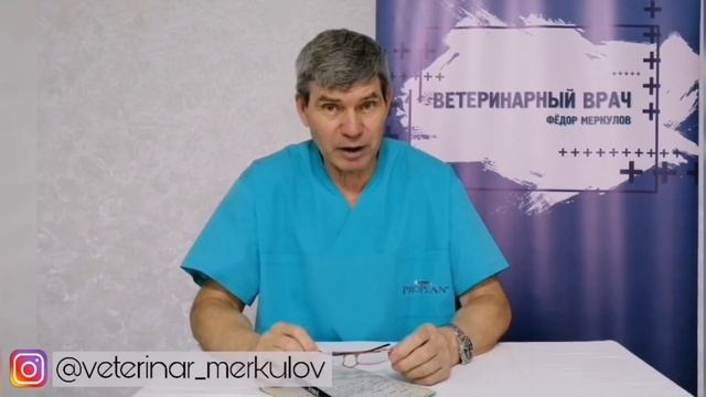 Молочные зубы//КАК ПОМОЧЬ ЖИВОТНОМУ ИЗБАВИТЬСЯ ОТ МОЛОЧНЫХ ЗУБОВ смотреть онлайн