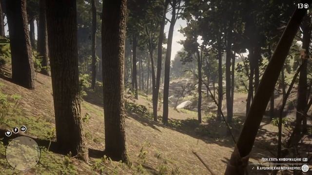 Red Dead Redemption 2 как найти дятла смотреть онлайн