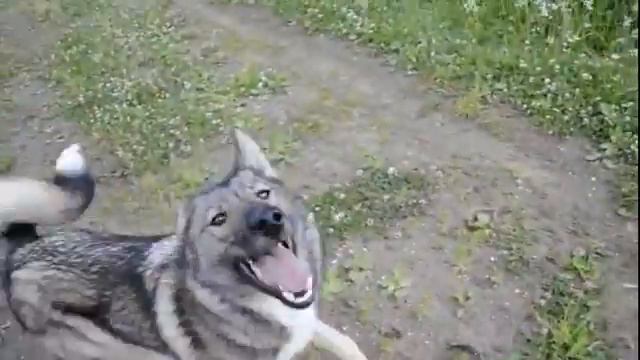 Гучи. возврат на место смотреть онлайн