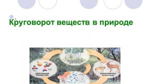 Биология, 11 класс: Биосфера