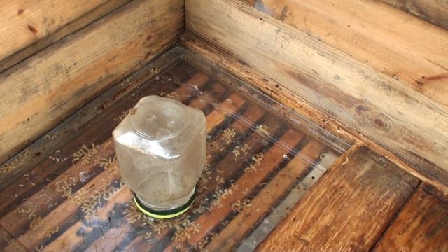 Кормление пчел в лежаке смотреть онлайн