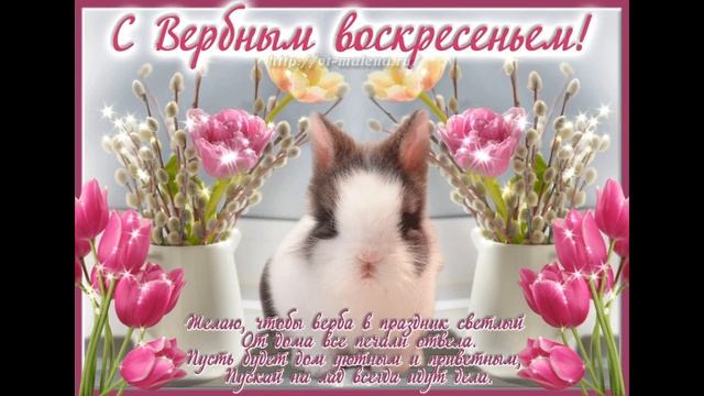 С Вербным Воскресеньем ! Красивое Поздравление с Вербным Воскресеньем! Музыкальная Видео Открытка!