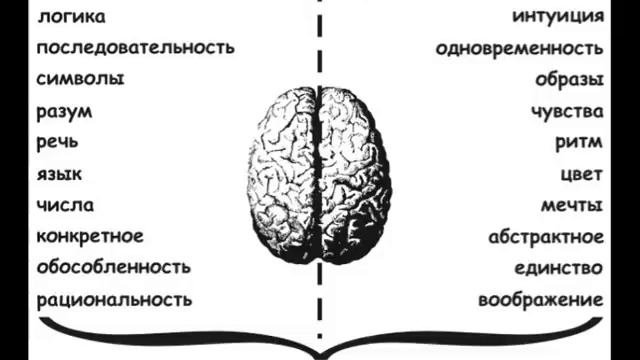 Как разбудить сверхвозможности Вашего мозга