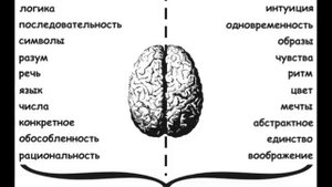 Как разбудить сверхвозможности Вашего мозга
