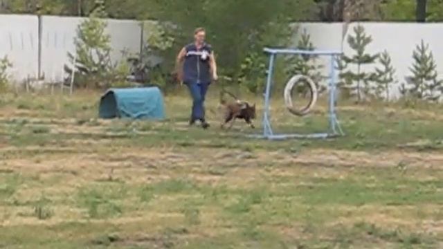 Бася.wmv смотреть онлайн