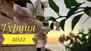 #45 ФИНАЛЬНЫЙ ВЫПУСК ИЗ ТУРЦИИ, ВОЗВРАЩАЕМСЯ ДОМОЙ. ОКТЯБРЬ 2022