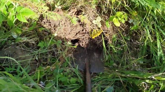 Наткнулся на хорошее поле .