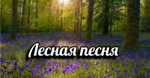 Лесная песня.mp4