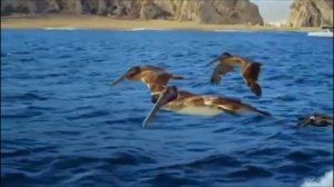 Michel Delpech Forever