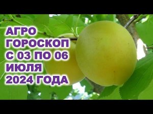 Агрогороскоп с 03 по 06 июля 2024 года Agrohoroscope from July 3 to July 6, 2024