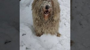 Поговори со мной