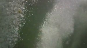 Насыщение воды в водоёме кислородом