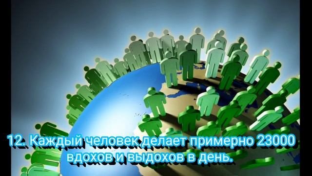 Интересные факты. Часть 5 / Интересные факты о человеке