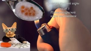 Как отличить красную икру от подделки, виды красной икры, 7 способов проверки красной икры