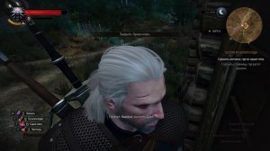 The Witcher 3 Wild Hunt. поиски грифона #4