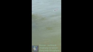 Рыбалка. Красота.