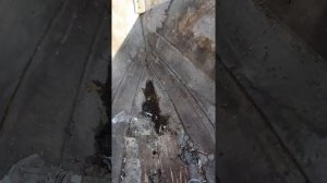 Оживление катера Ритм