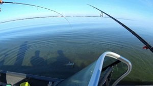 Судак горя моря, ловля на джиг в коряжнике
