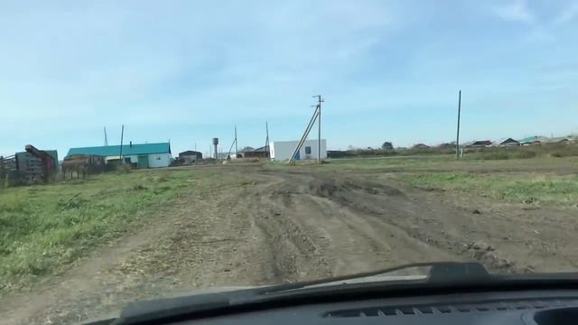Кыштовские сельские  обширные поля, ждут фермеров) Усть-Тарский и Венгеровский обзор.