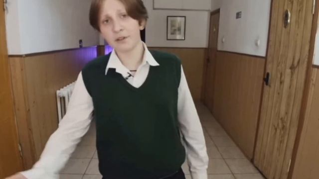 мем шгш разборки